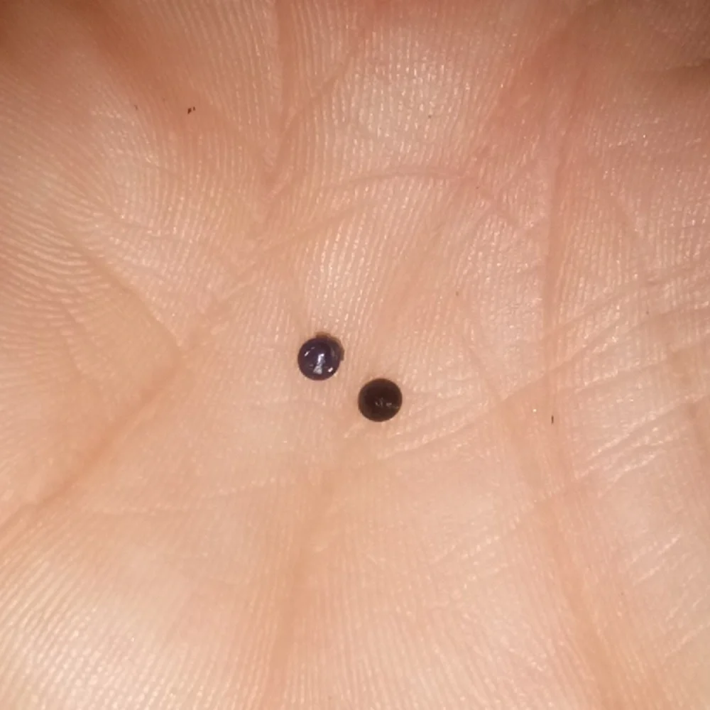Sapphires - Picture 3 of 3